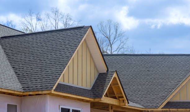 Best Skylight Installation and Repair  in Middlebury, IN